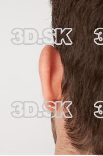 Ear texture of Vendelin 0001